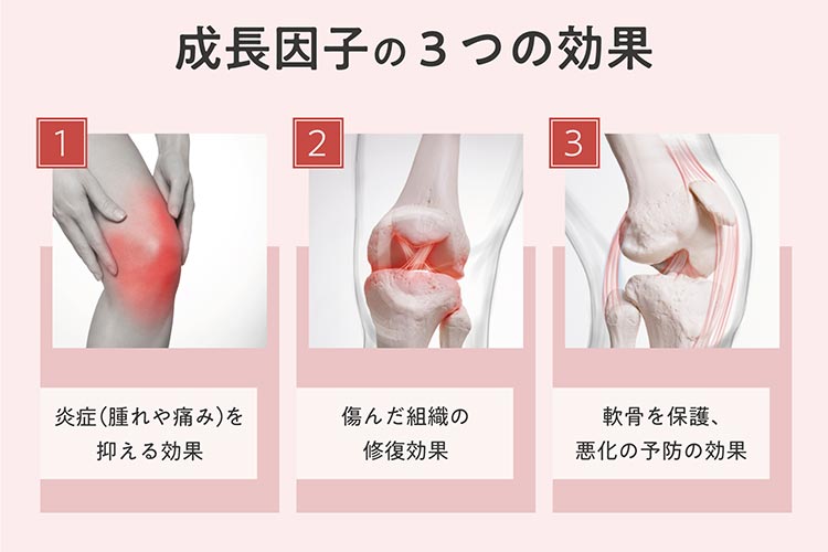 成長因子の3つの効果